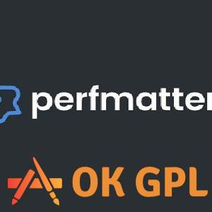 Perfmatters Plugin Dashboard Interface