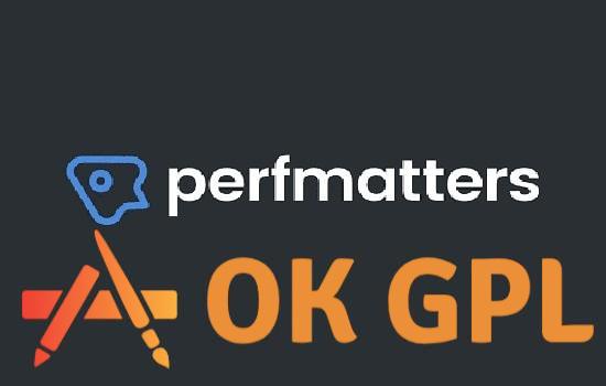 Perfmatters Plugin Dashboard Interface