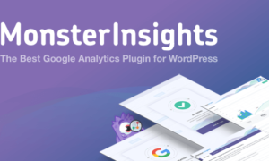 MonsterInsights Pro dashboard showcasing real-time website analytics