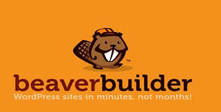 Beaver Builder Pro