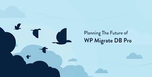 WP Migrate DB Pro v2.3.4